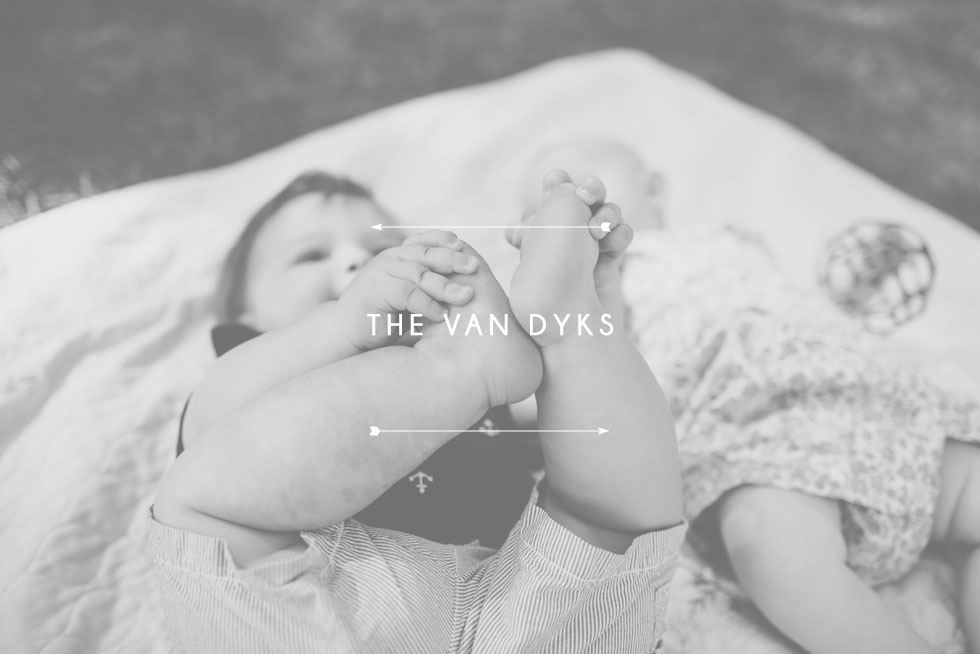 TheVanDyksCover